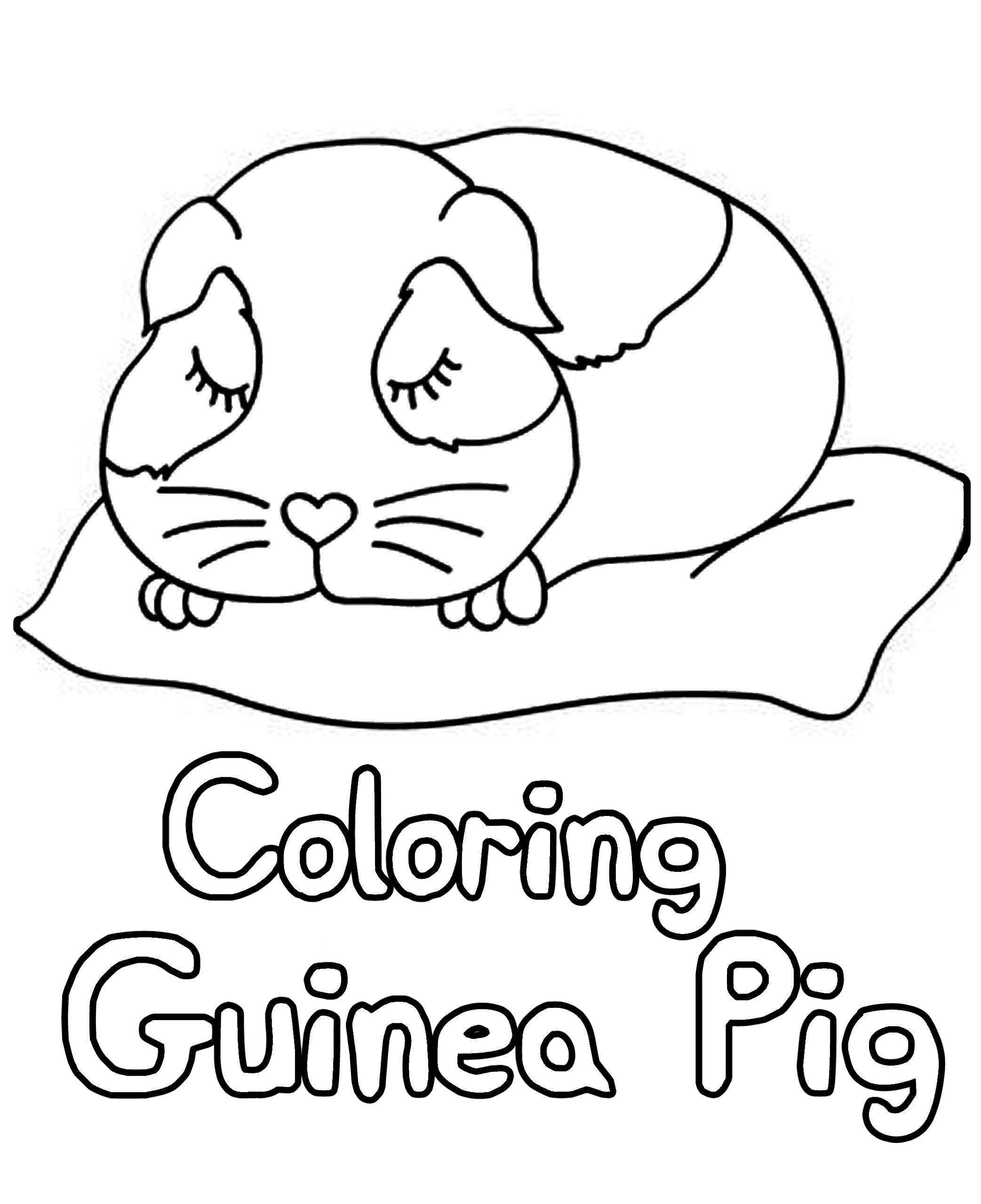 Simple Guinea Pig Coloring Pages Guinea Pig Coloring Pages Coloring Kids Coloring Pages