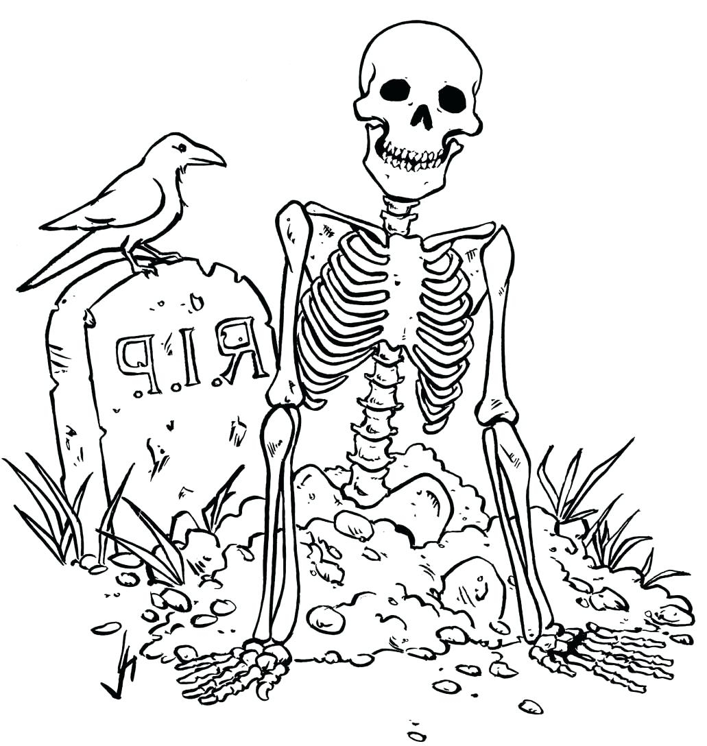 Skeleton Drawing For Kids At GetDrawings Free Download