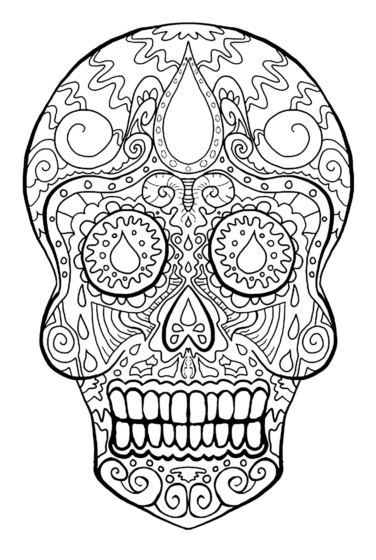 Skeleton Head Coloring Pages At GetColorings Free Printable Colorings Pages To Print And Color