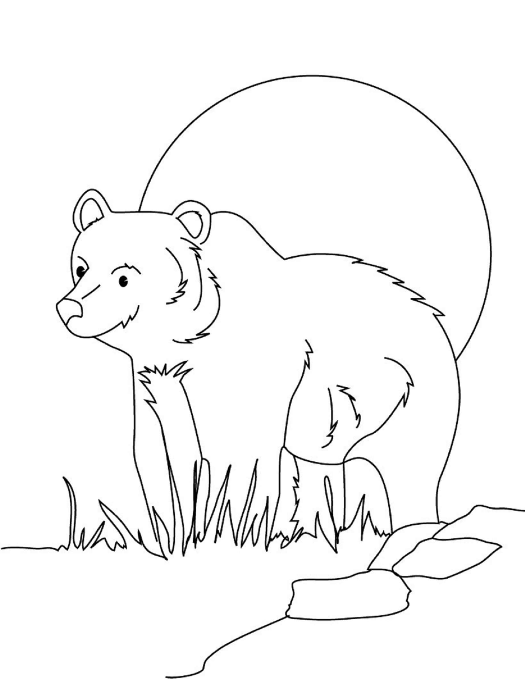 Smiling Grizzly Bear Coloring Page Download Print Or Color Online For Free