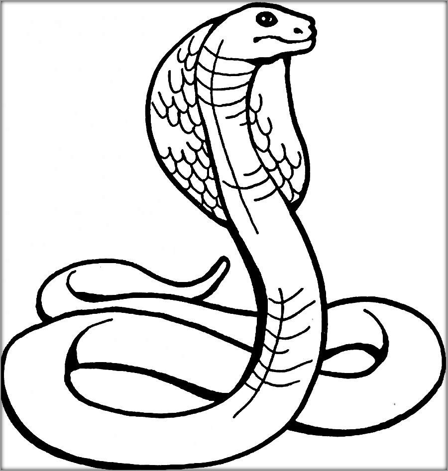 Snake Coloring Pages Colouring Color Kids Printable Print Sketch Coloring Page