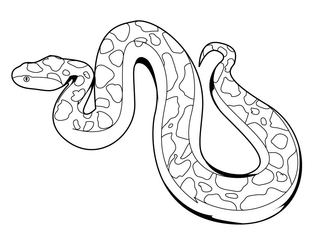Snake Coloring Pages Kidsuki