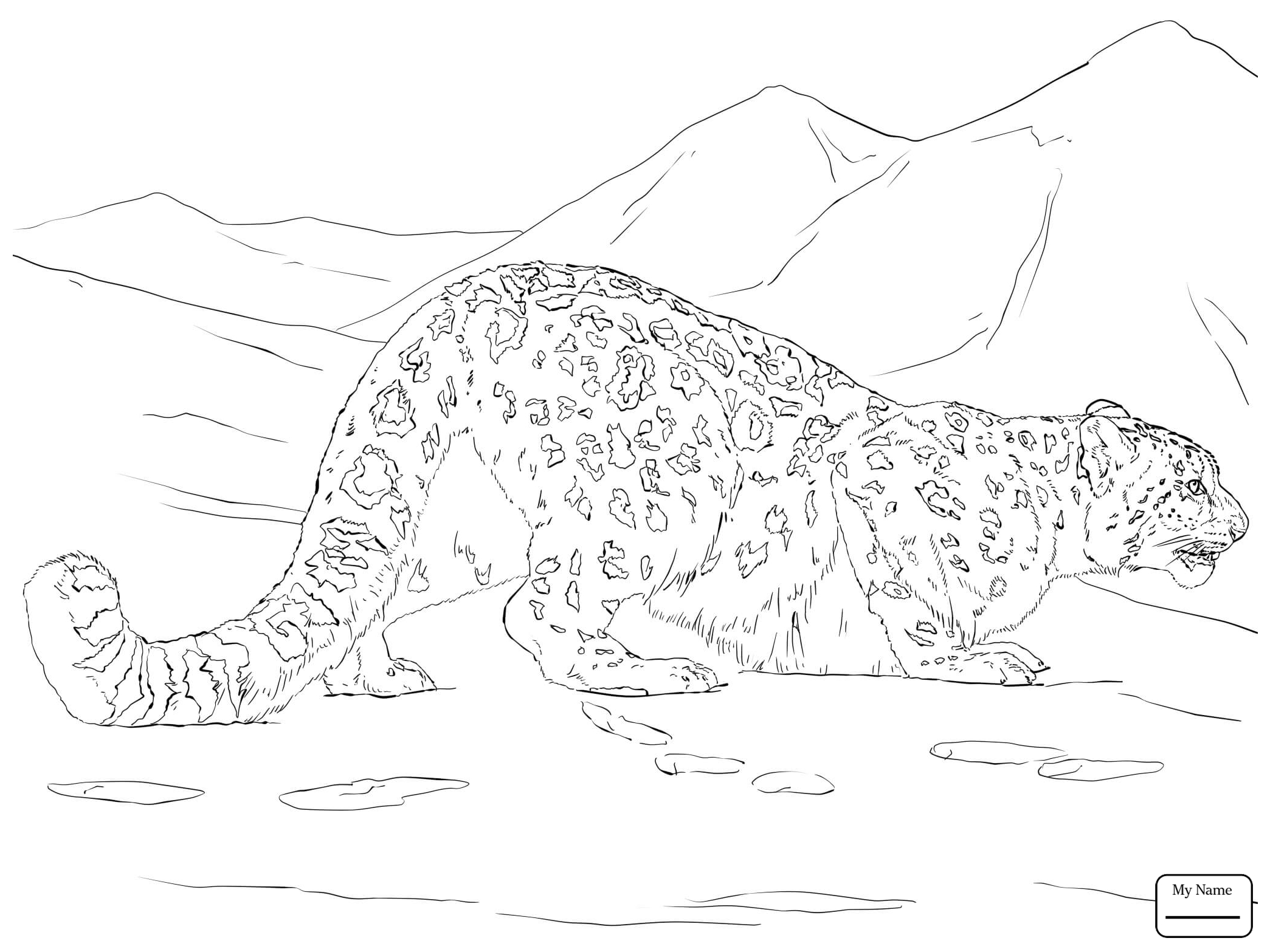 Snow Leopard Coloring Pages Printable