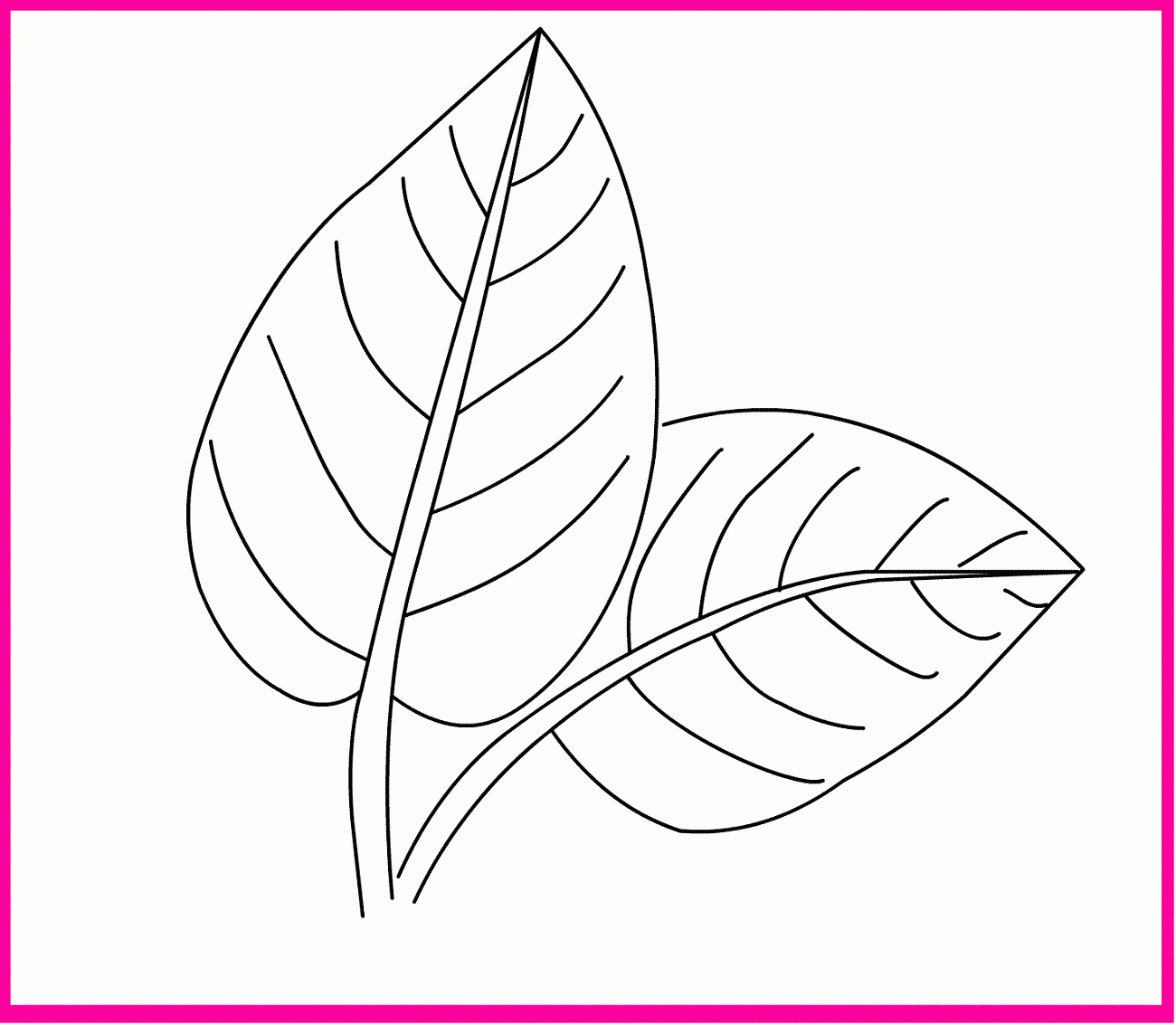 Spring Leaves Coloring Pages