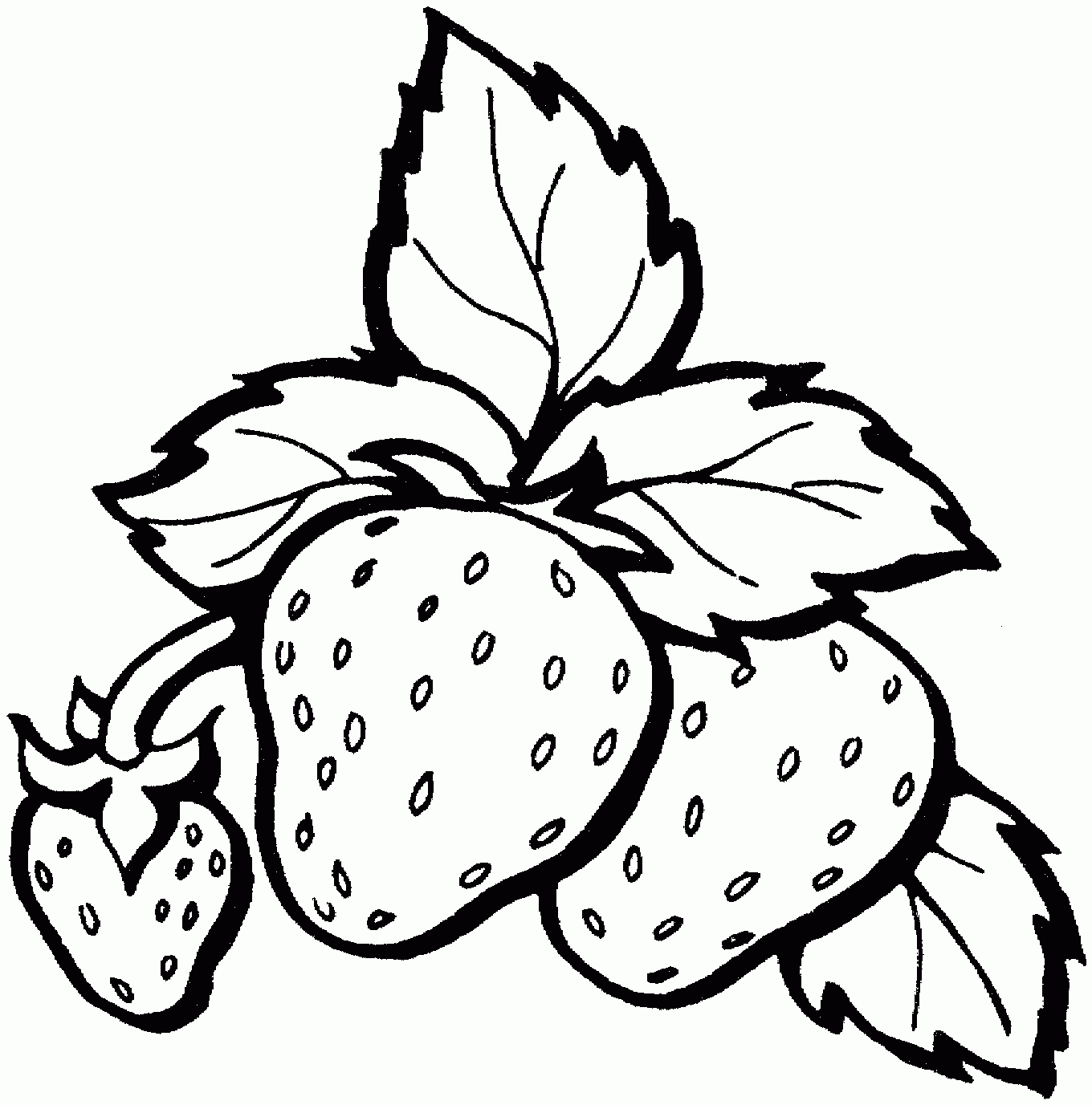 Strawberry Coloring Pages To Download And Print For Free
