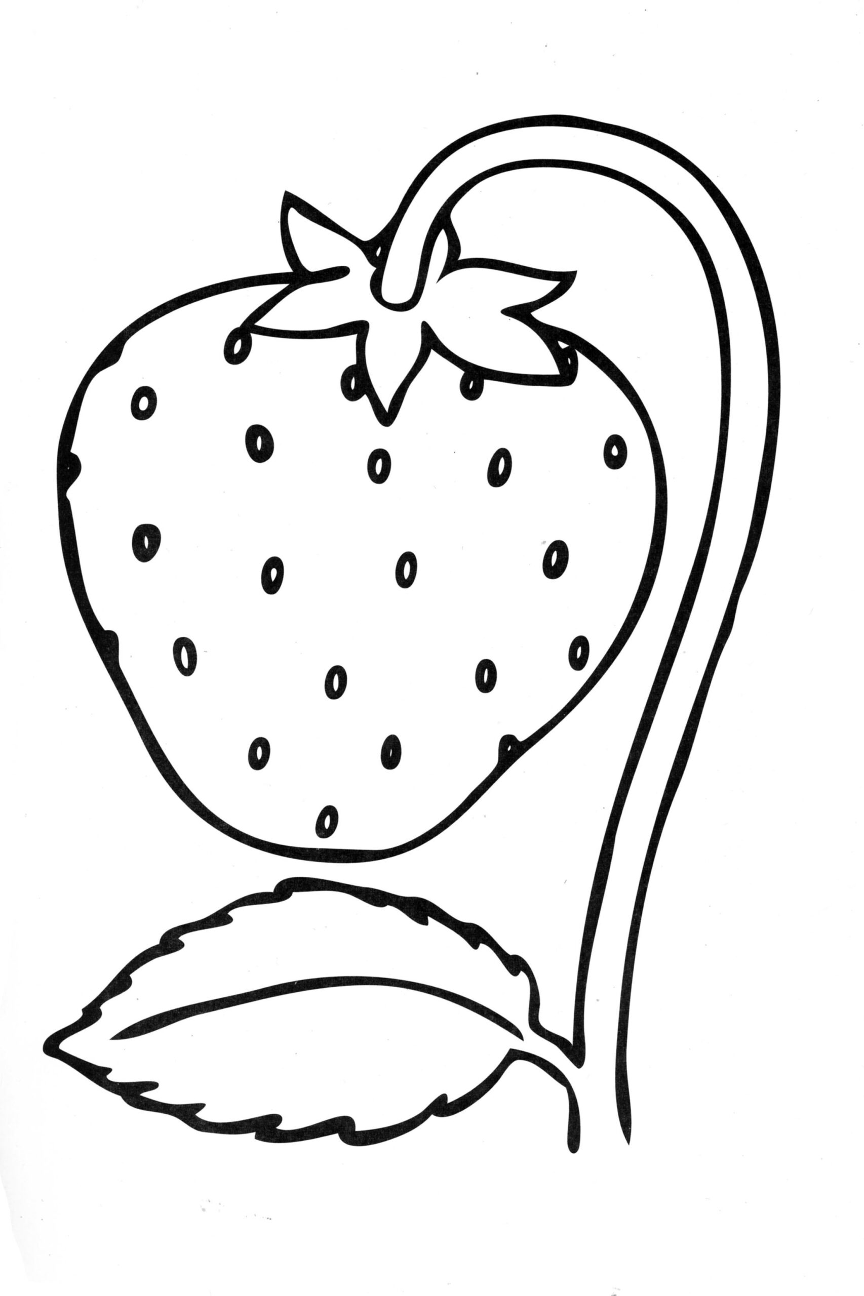 Strawberry Coloring Pages Printable