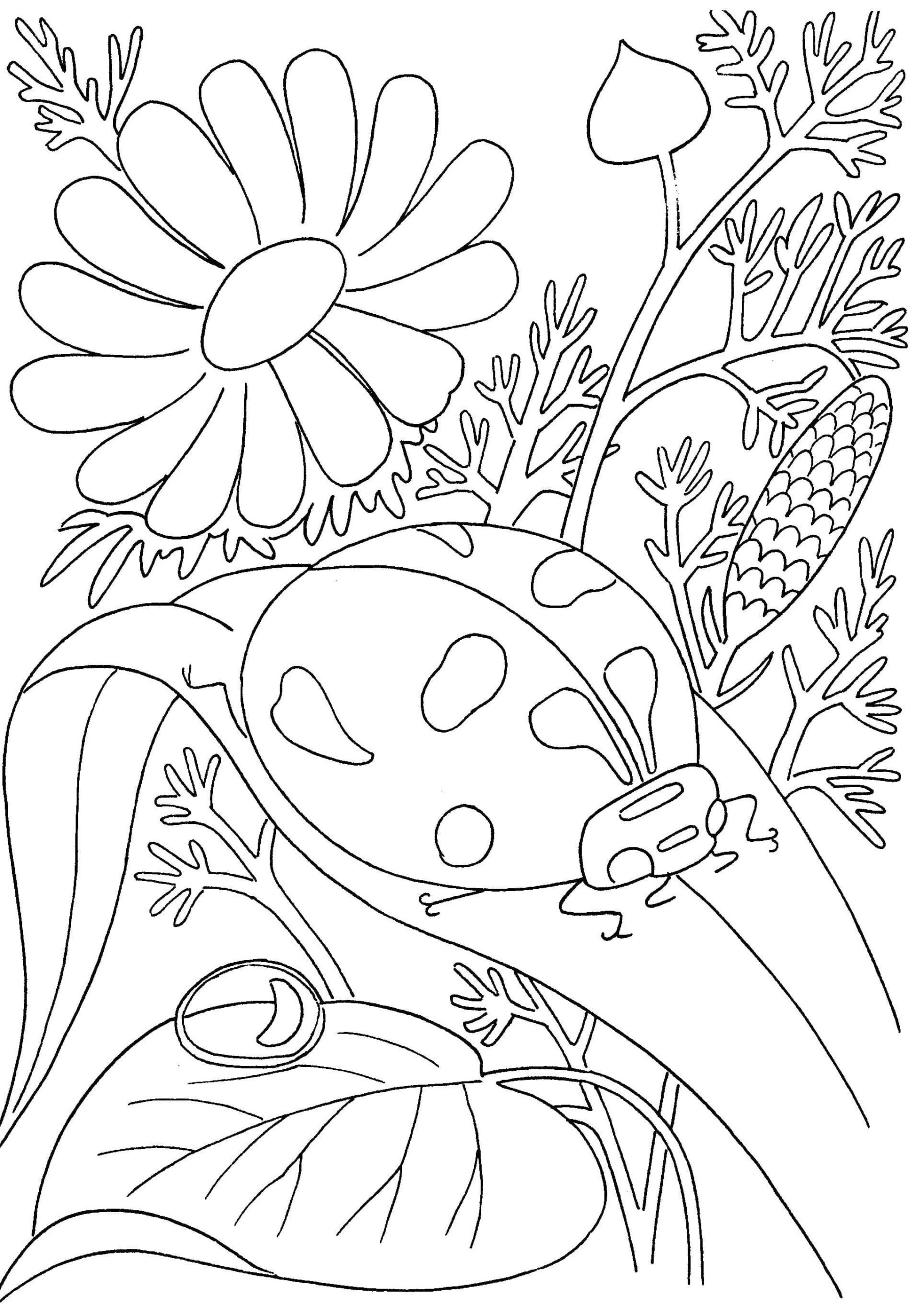 Summer Coloring Pages 105 Best Images Free Printable