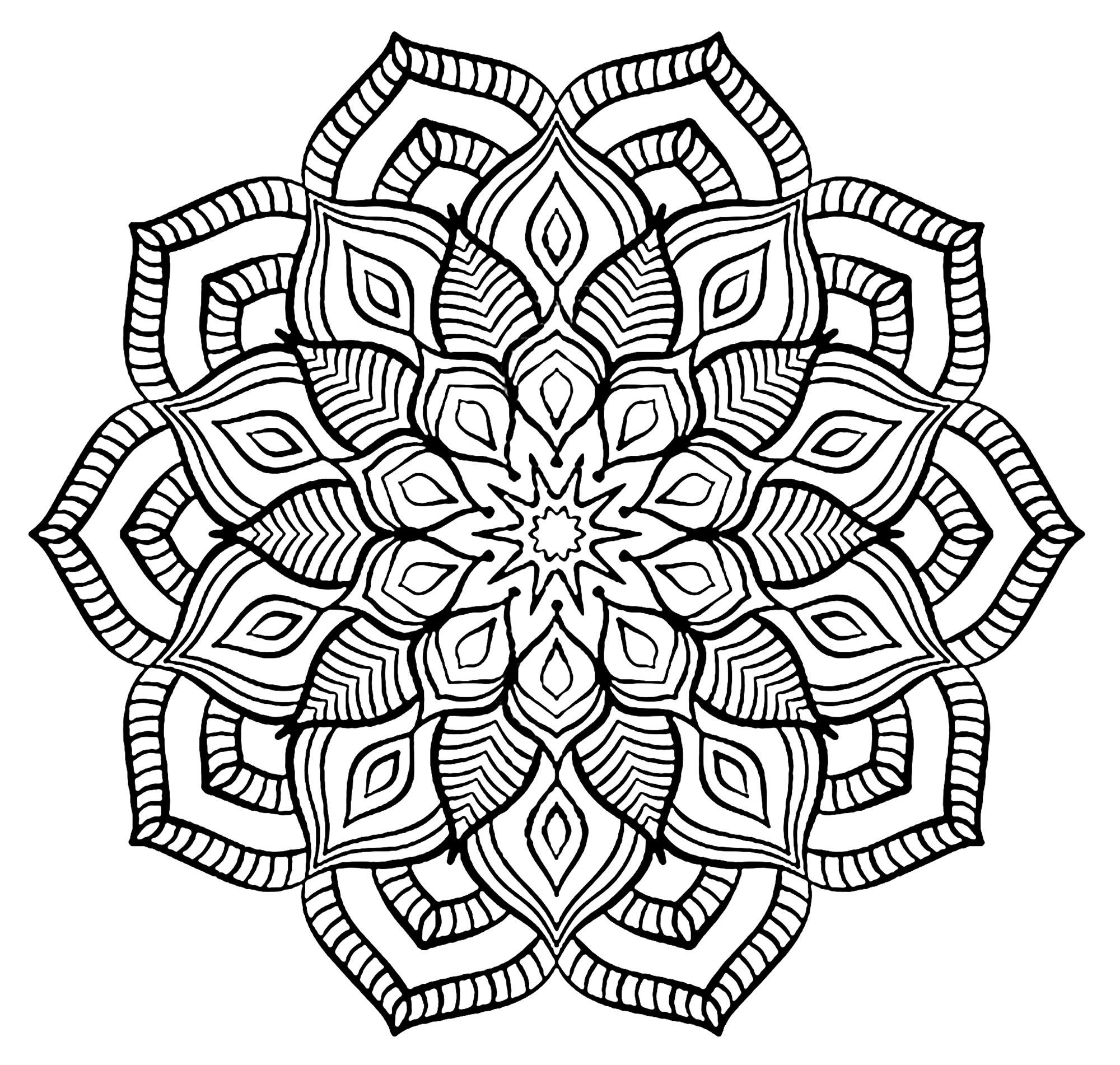 The Big Flower Mandalas With Flowers Vegetation