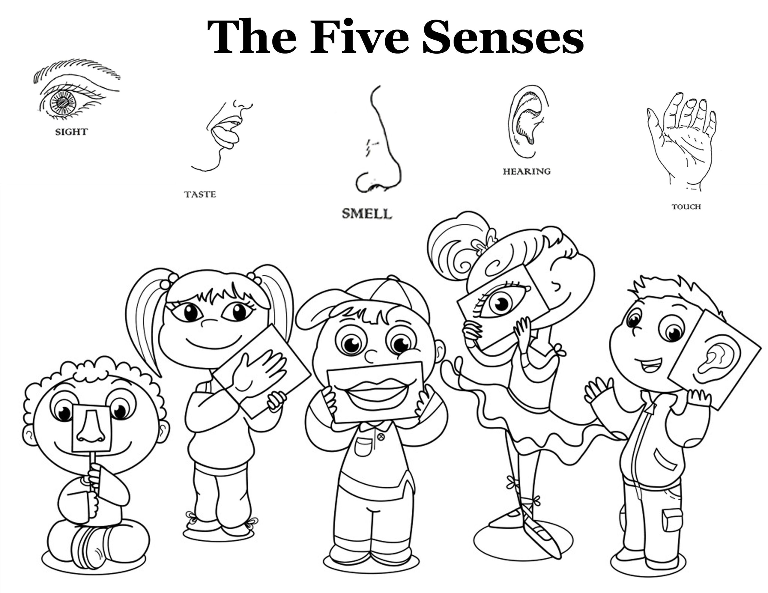 The Five Senses Senses Preschool Five Senses Worksheet Kindergarten Colors