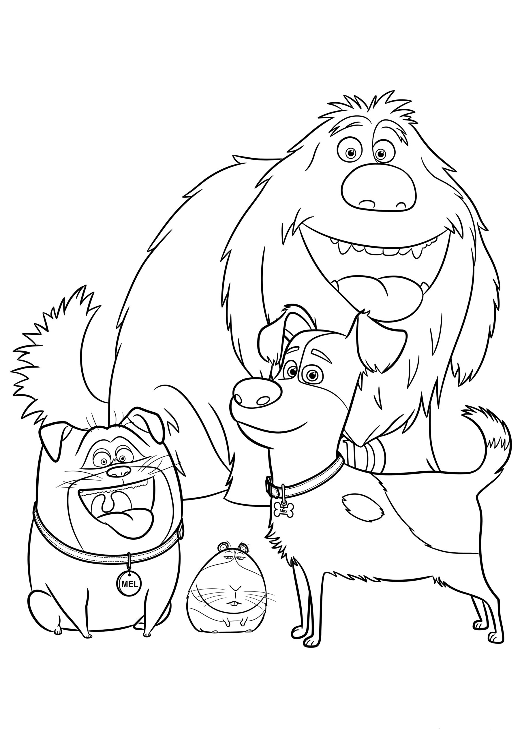 The Secret Life Of Pets Coloring Pages Print Them For Free