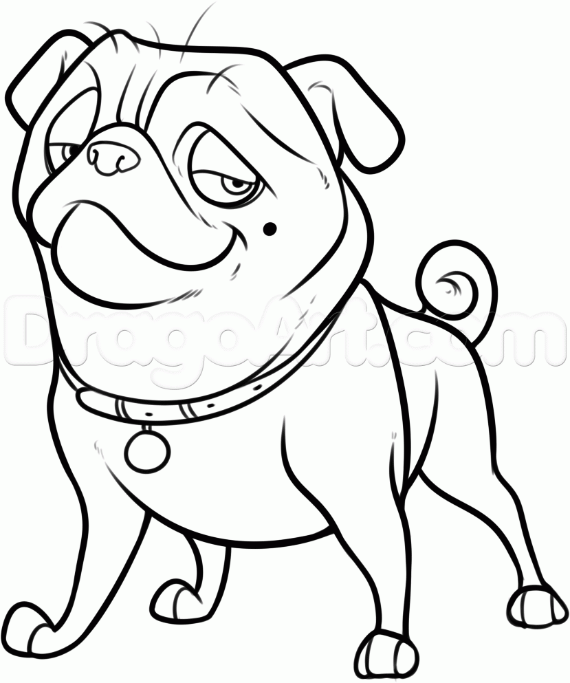 Nut Job Coloring Pages