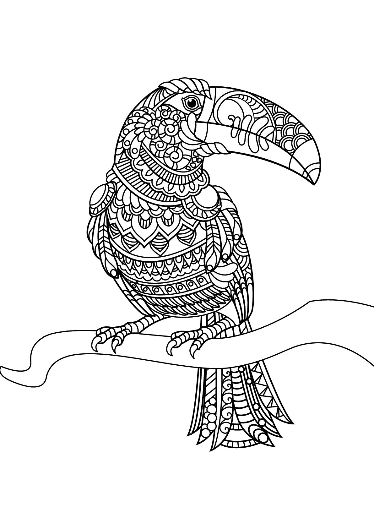 Toucan Coloring Page