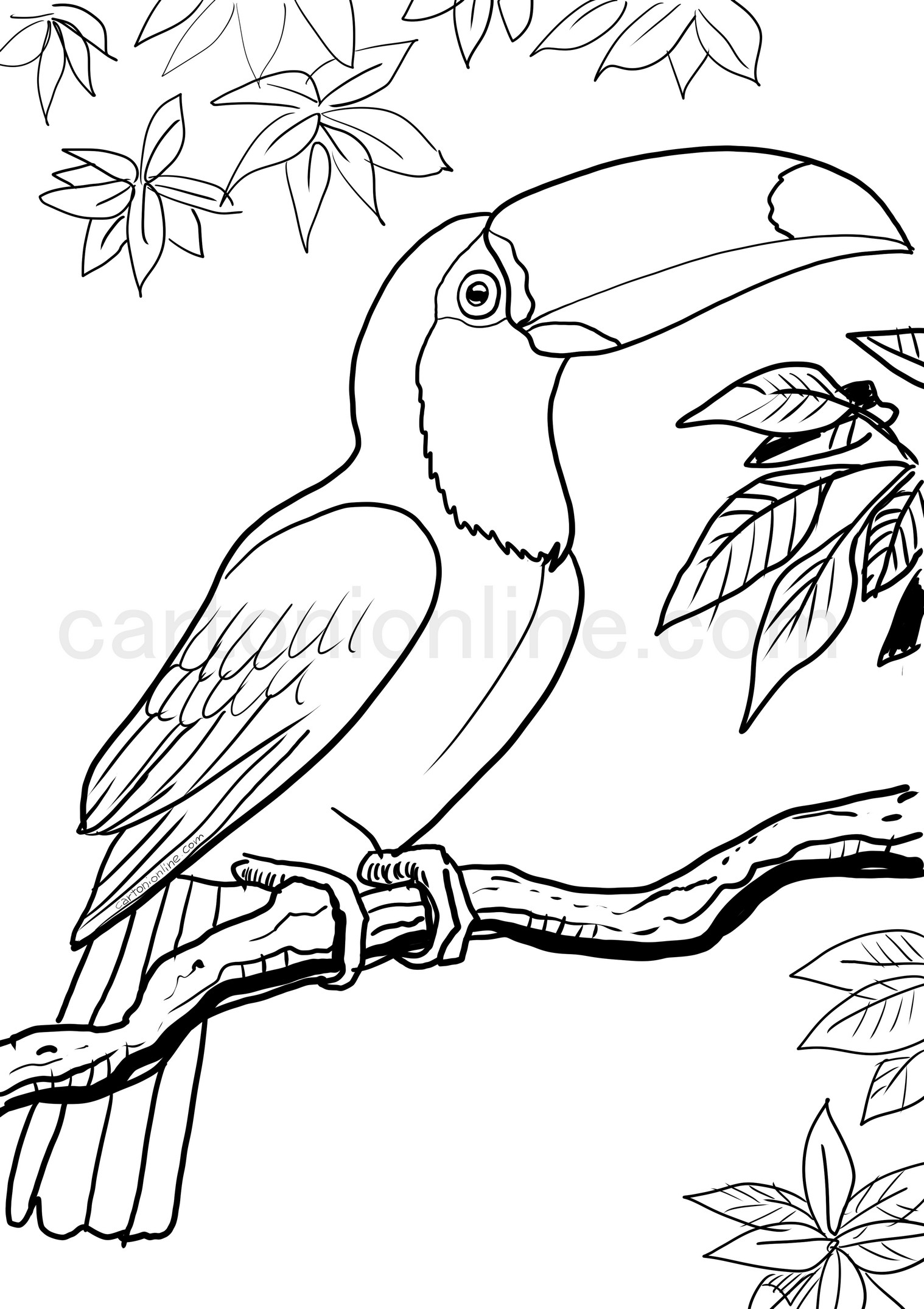 Toucan Coloring Toucan Coloring Pages Best Coloring Pages For Kids Toucans Have An Oblong