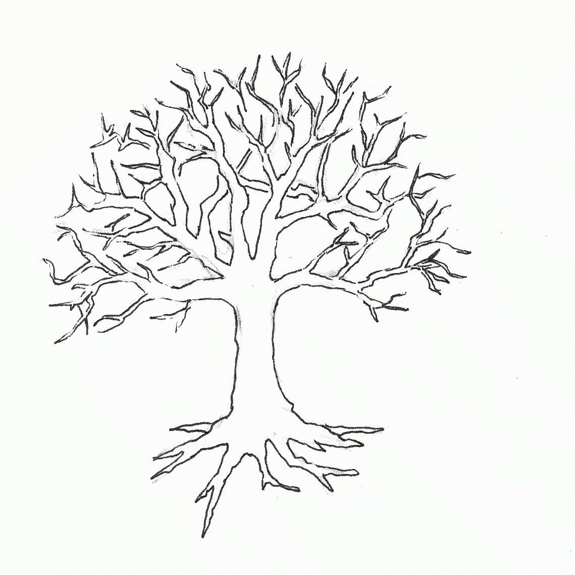 Tree With Branches Coloring Page Coloring Pages For Kids And For Coloring Home