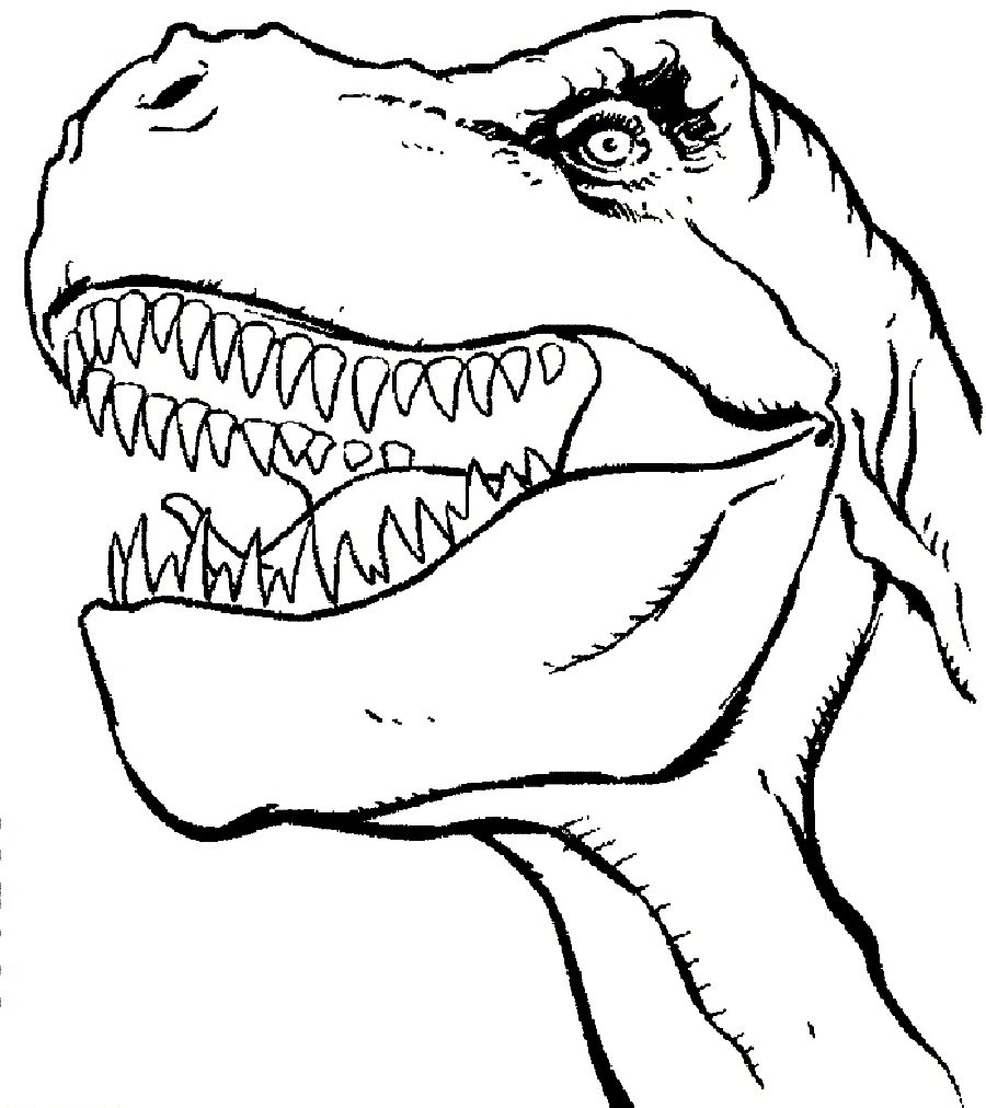 TRex Coloring Pages Best Coloring Pages For Kids