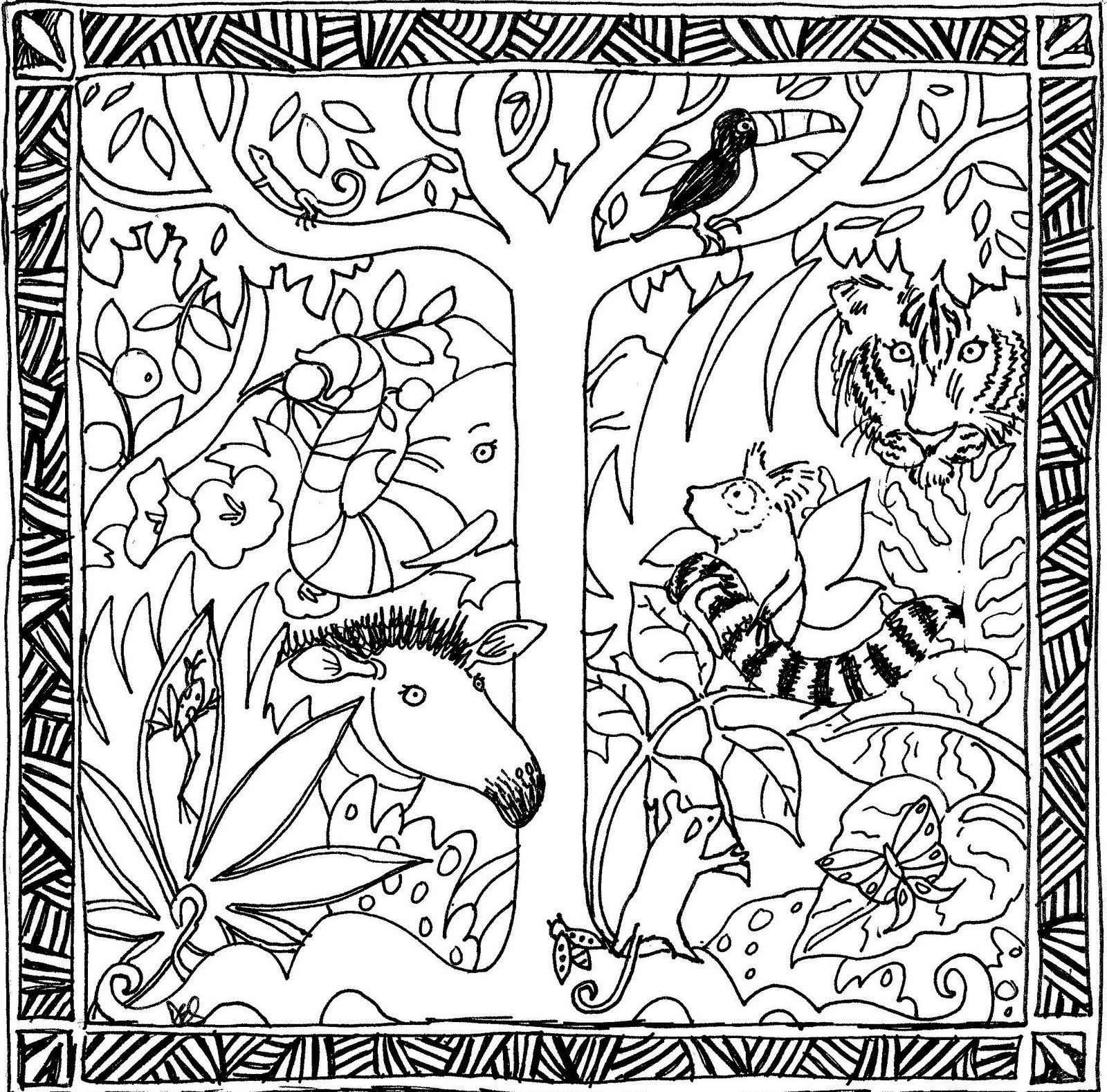 Tropical Rainforest Tropical Rainforest Drawing