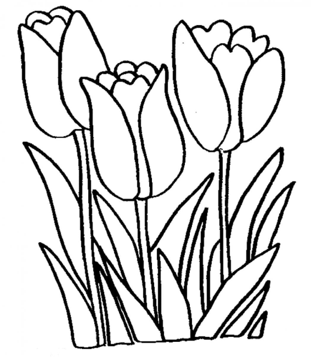 Printable Tulip Coloring Pages