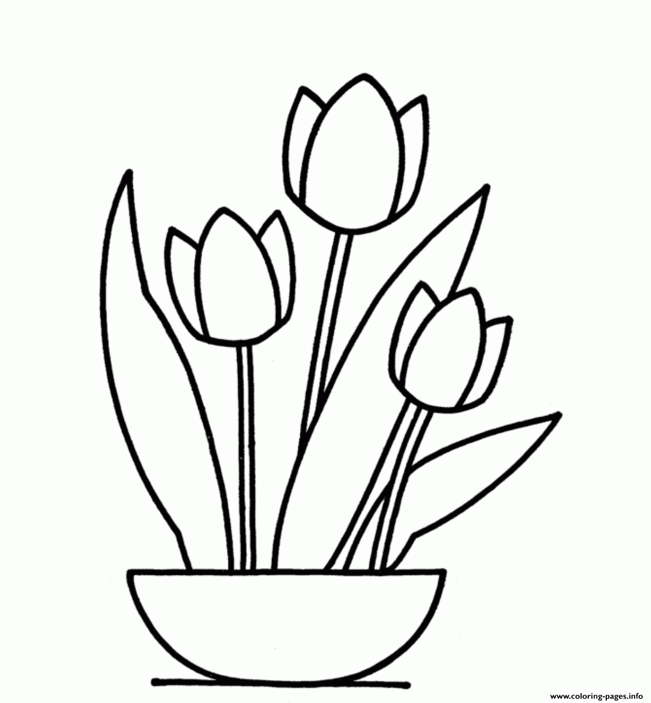 Tulip Flower Coloring Page Printable