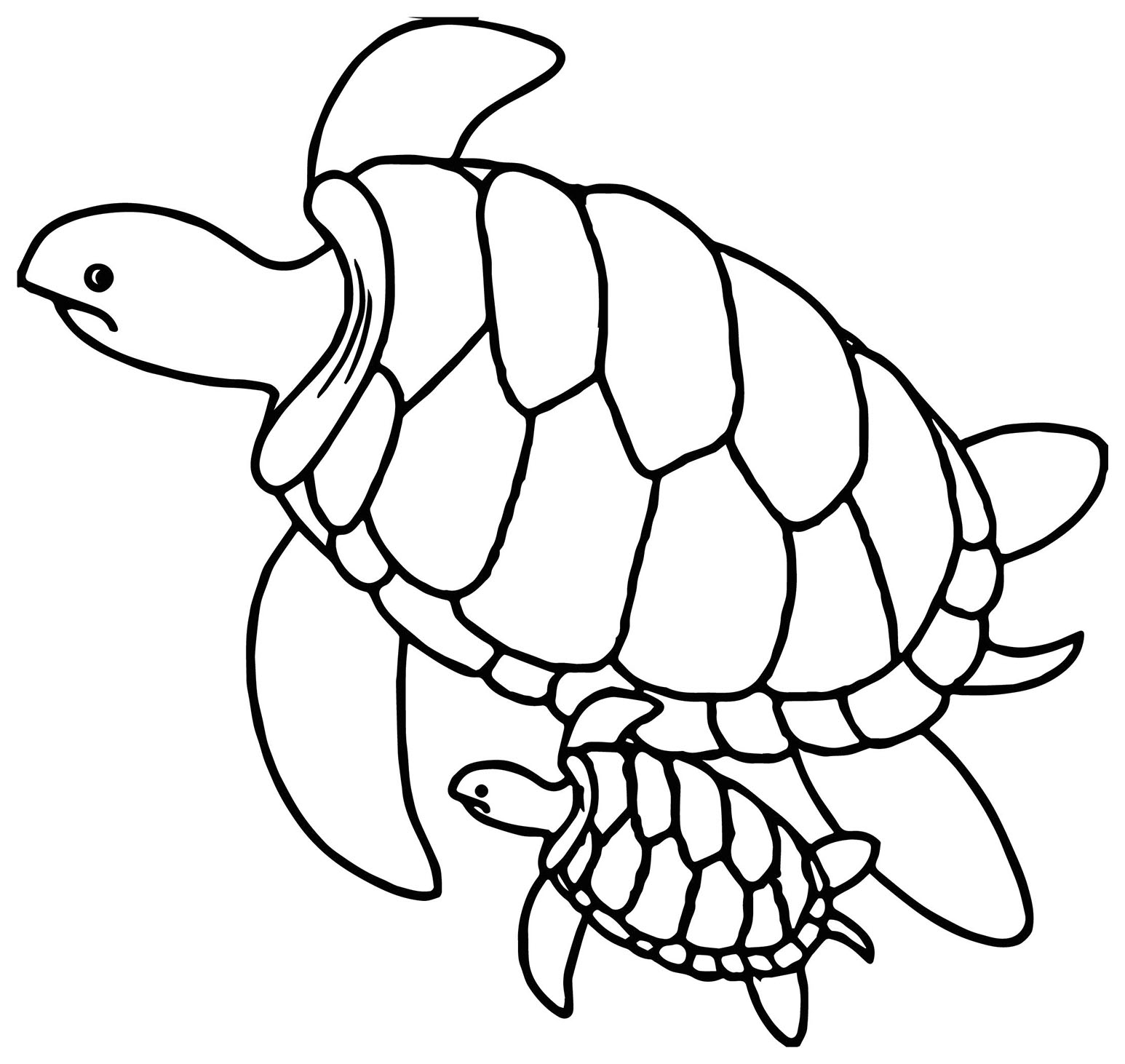 Turtle Coloring Page To Print Turtle Coloring Pages For Kids