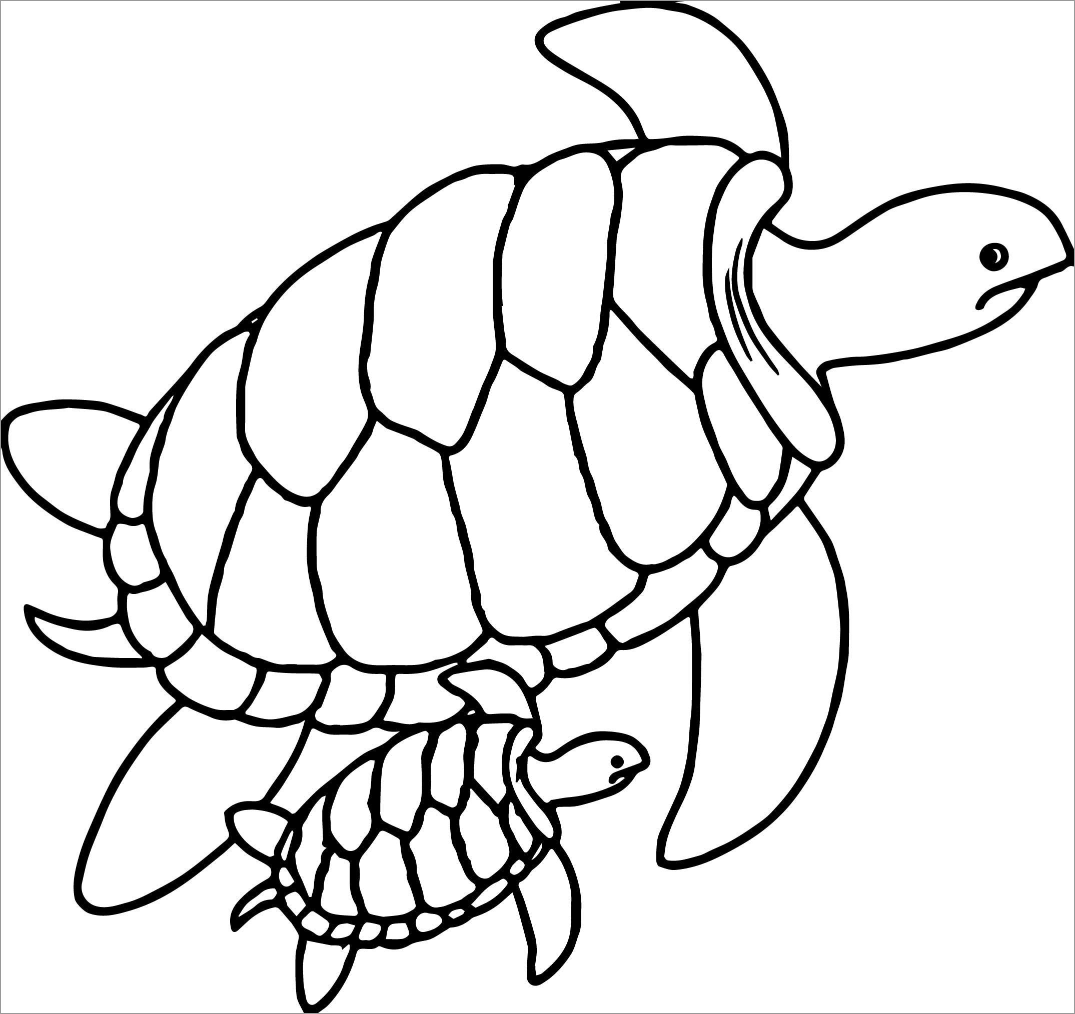 Turtle Coloring Pages