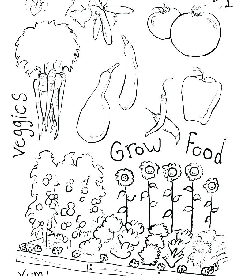 Vegetable Garden Coloring Pages At GetColorings Free Printable Colorings Pages To Print