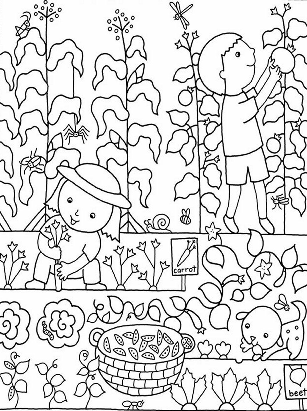 Vegetable Garden Coloring Pages Printable