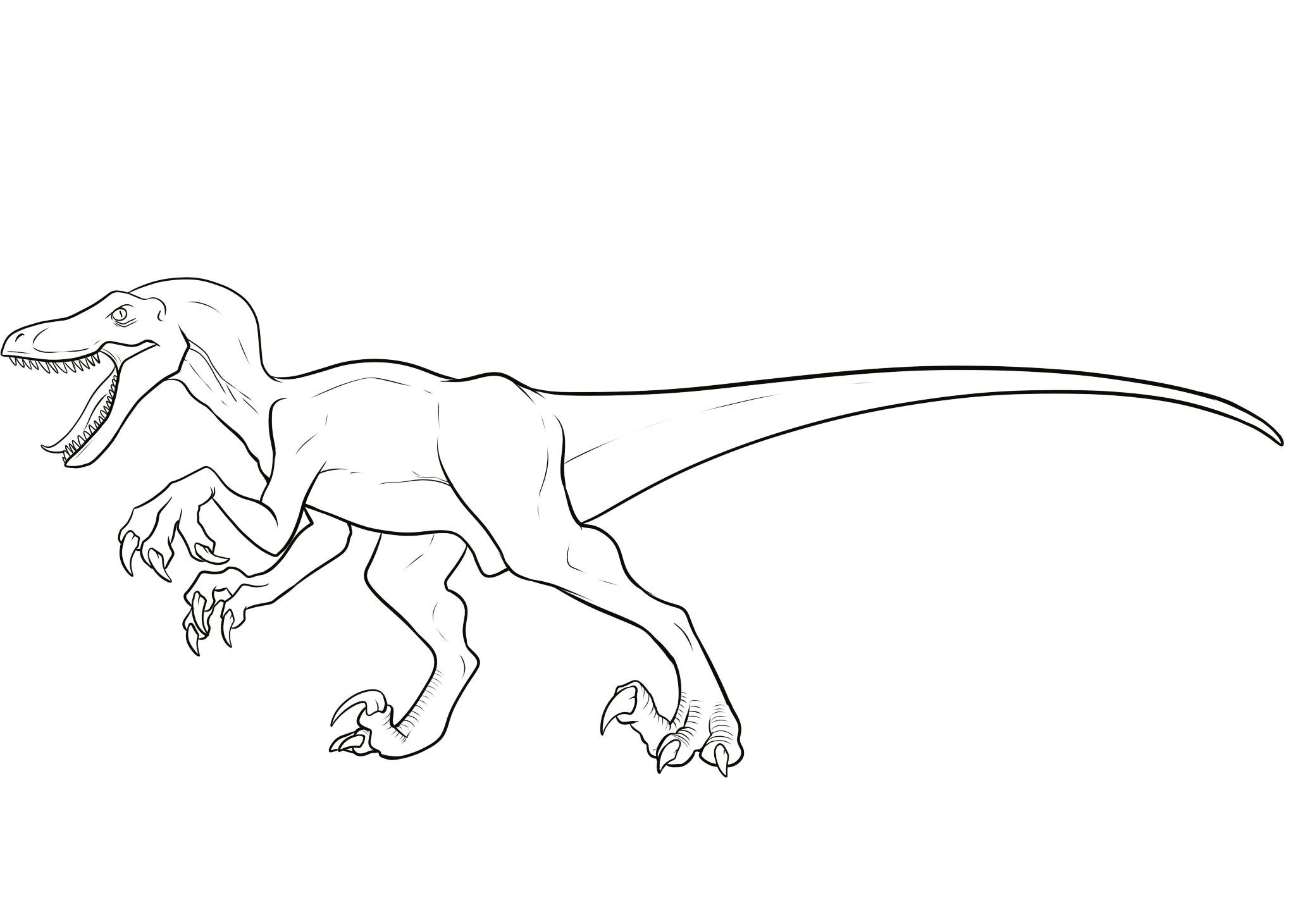 Velociraptor Coloring Pages Best Coloring Pages For Kids