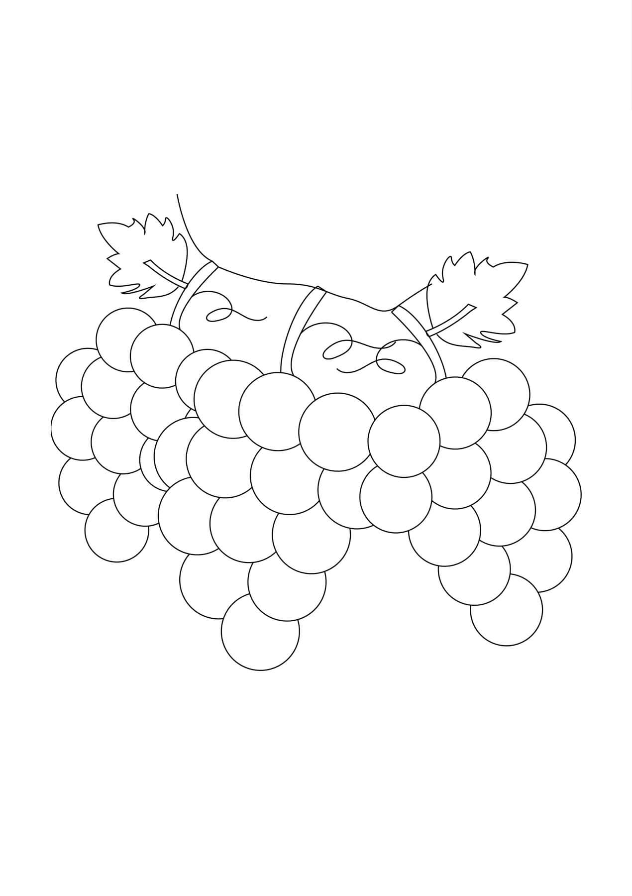 Vendemmia Uvas Vendanges Colorare Coloriage Cargando Anggur Disegno Mewarnai Ernte Carregando