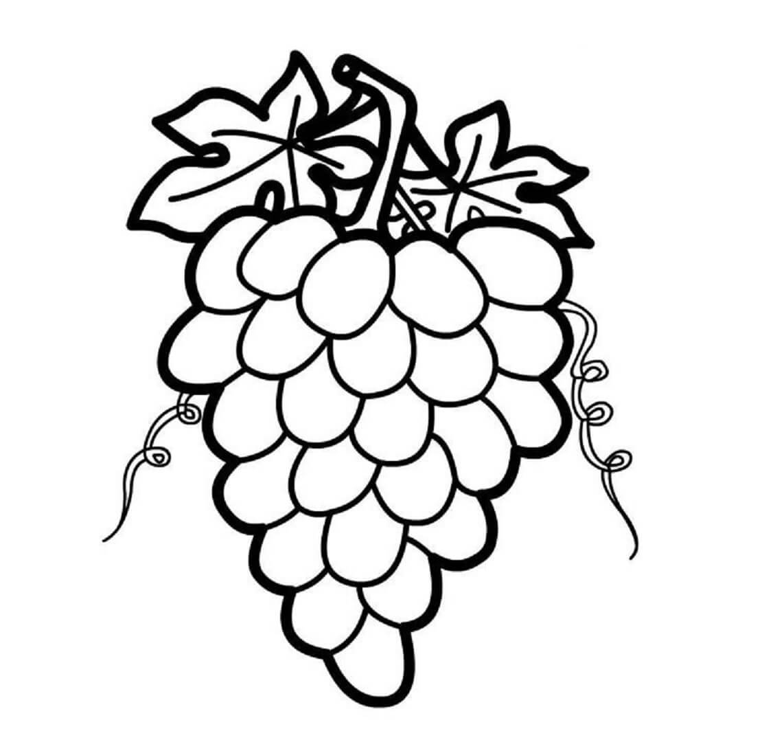 Vendemmia Uvas Vendanges Colorare Coloriage Cargando Anggur Disegno Mewarnai Ernte Carregando