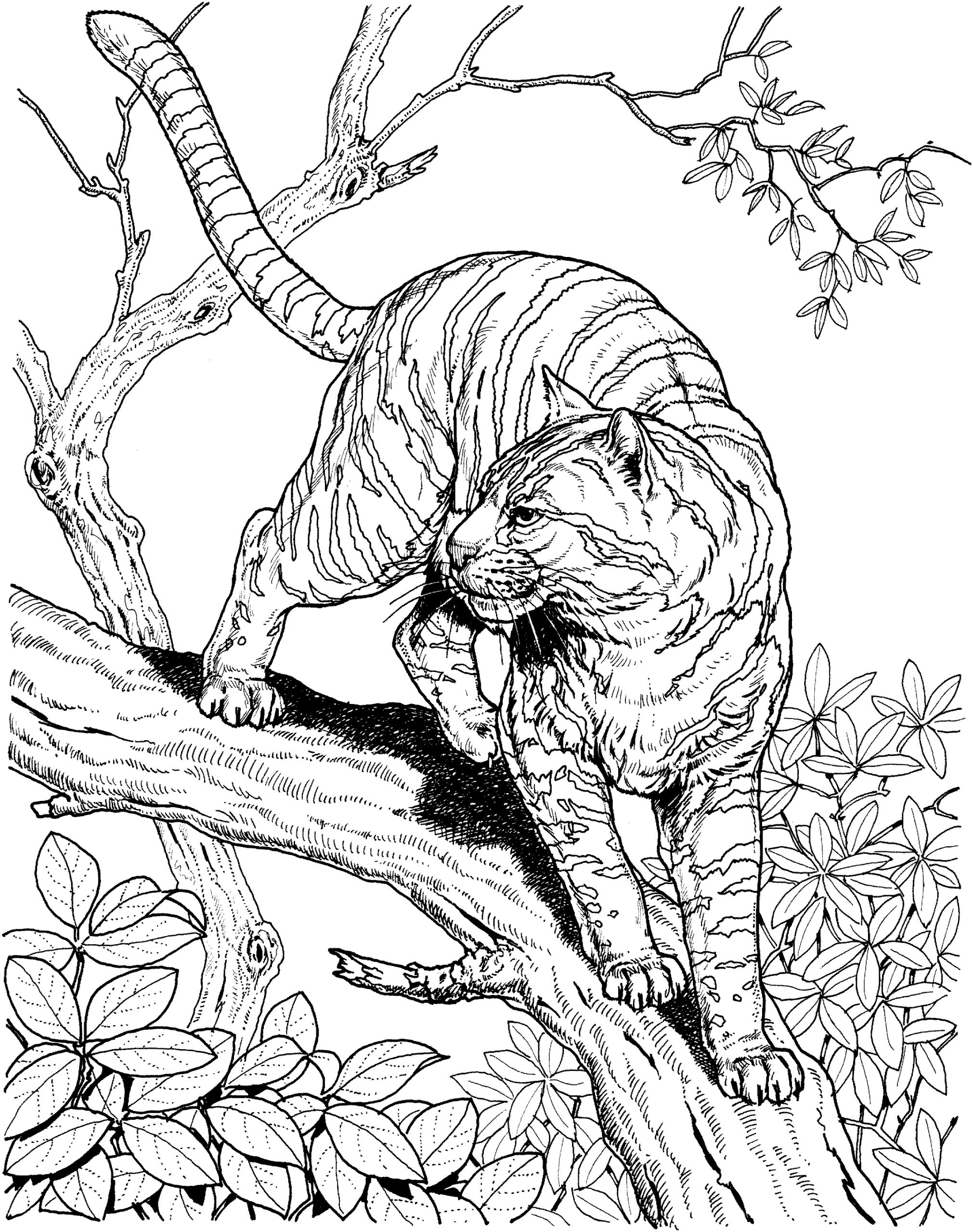 Very Detailed Coloring Pages At GetColorings Free Printable Colorings Pages To Print And Color