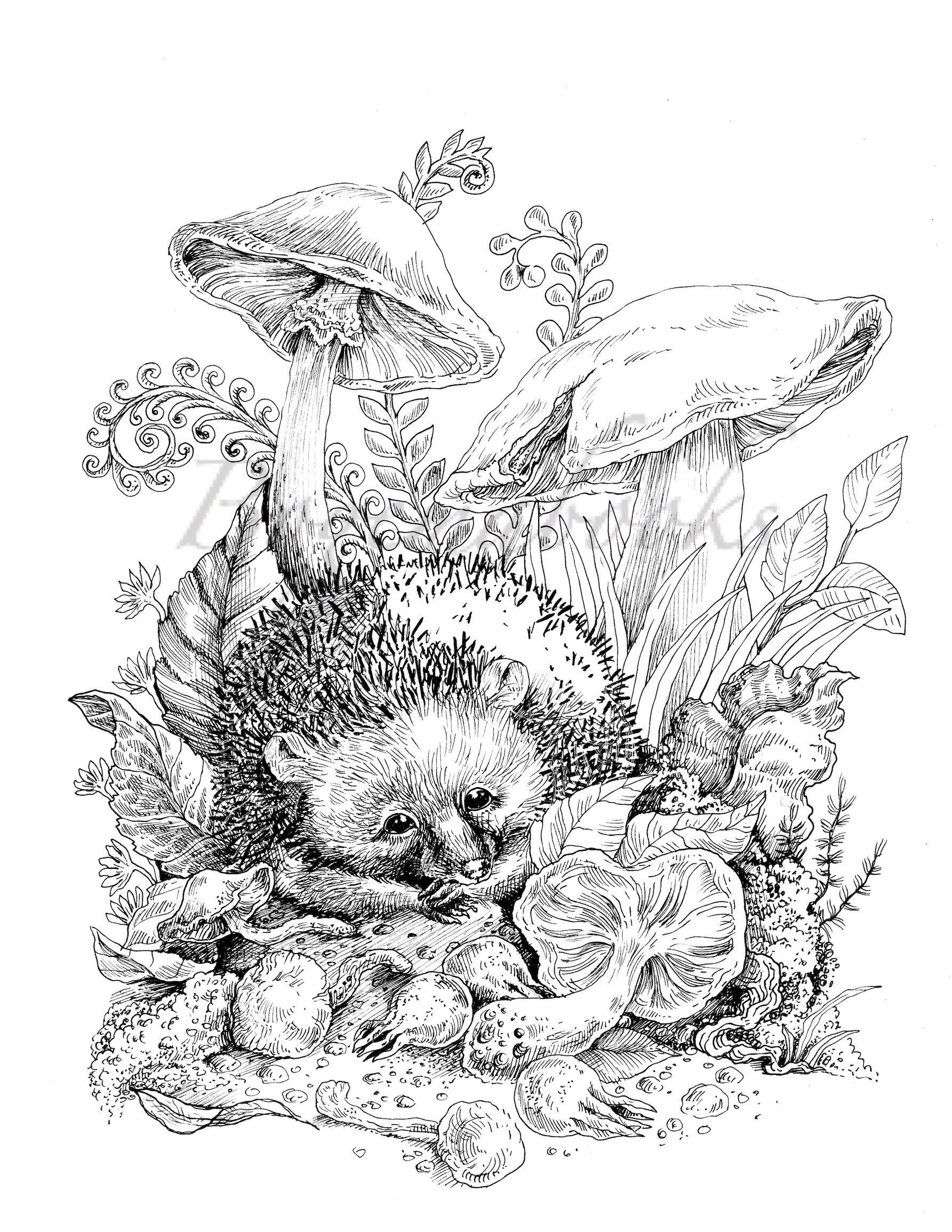 Vintage Coloring Book Pages