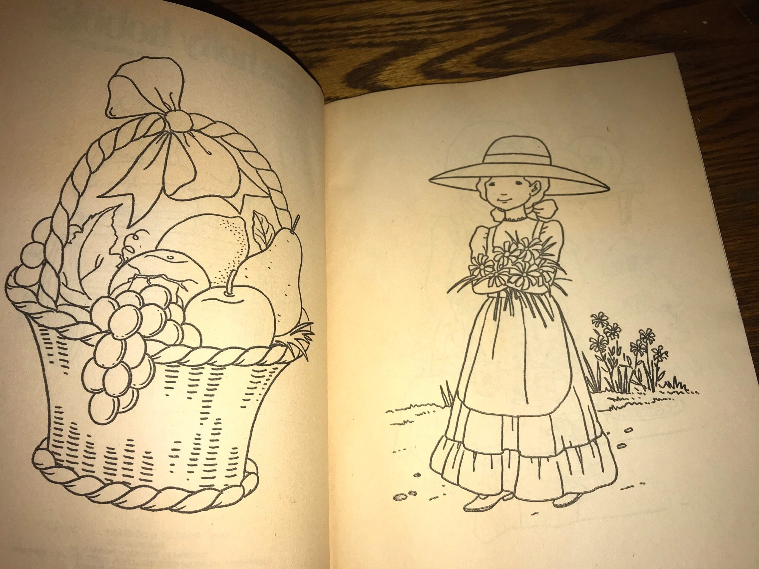 Vintage Holly Hobbie Coloring Book Holly Hobbie Never Used Coloring Book Holly Hobbie Holly