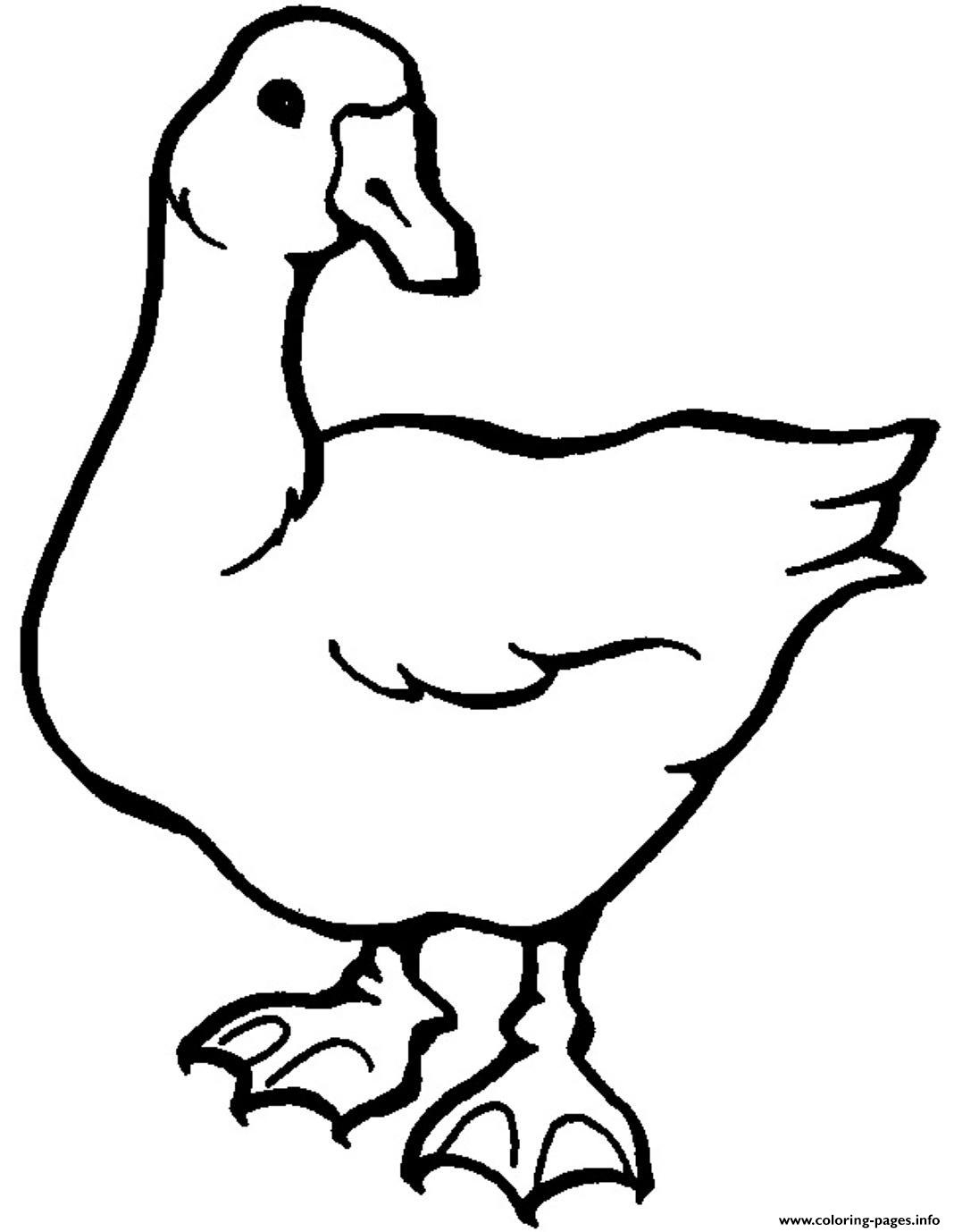 White Goose Printable Animal Sa936 Coloring Page Printable