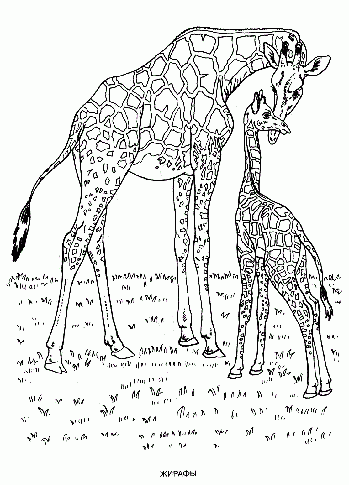 Wild Animals Coloring Pages For Kids To Print For Free