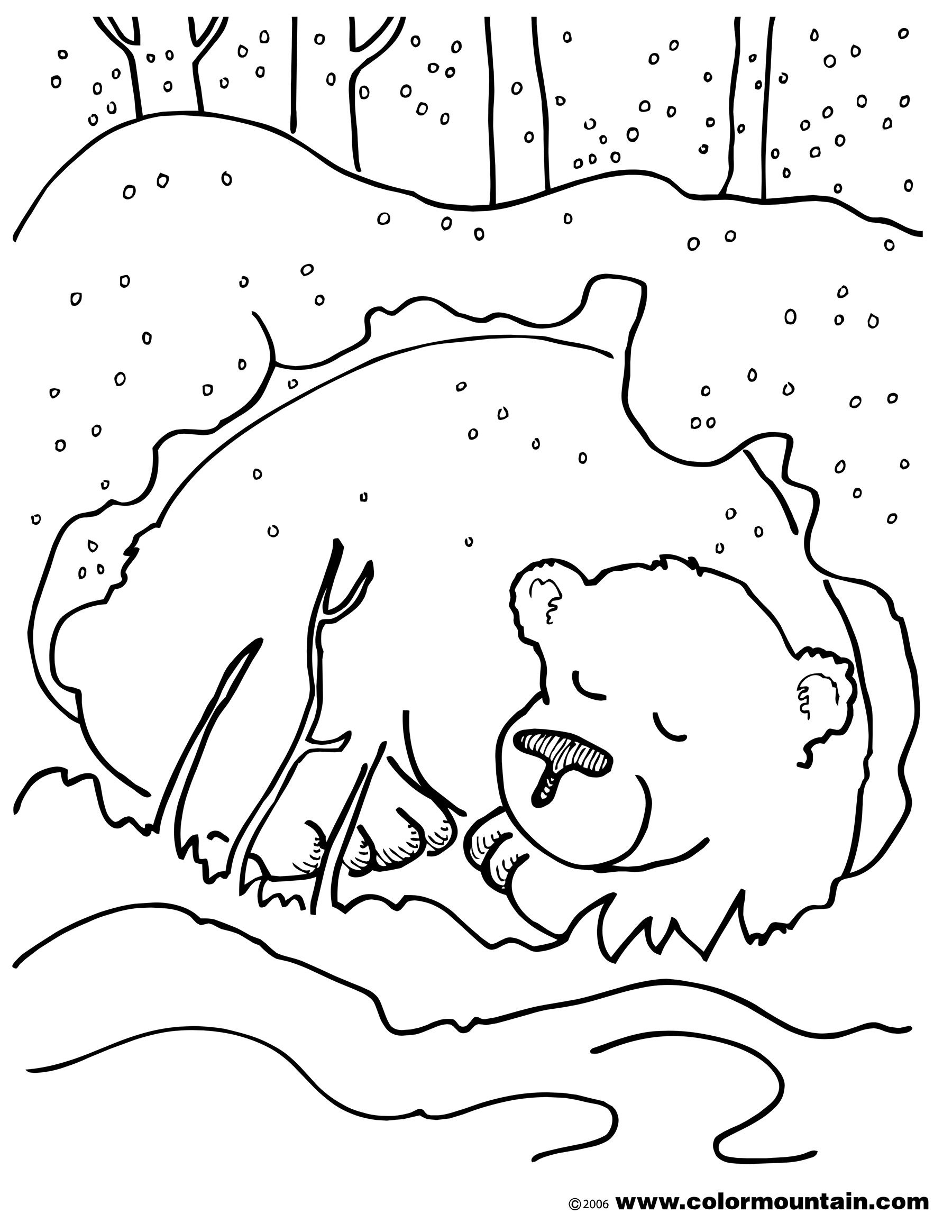 Winter Animal Coloring Page 318 SVG PNG EPS DXF In Zip File