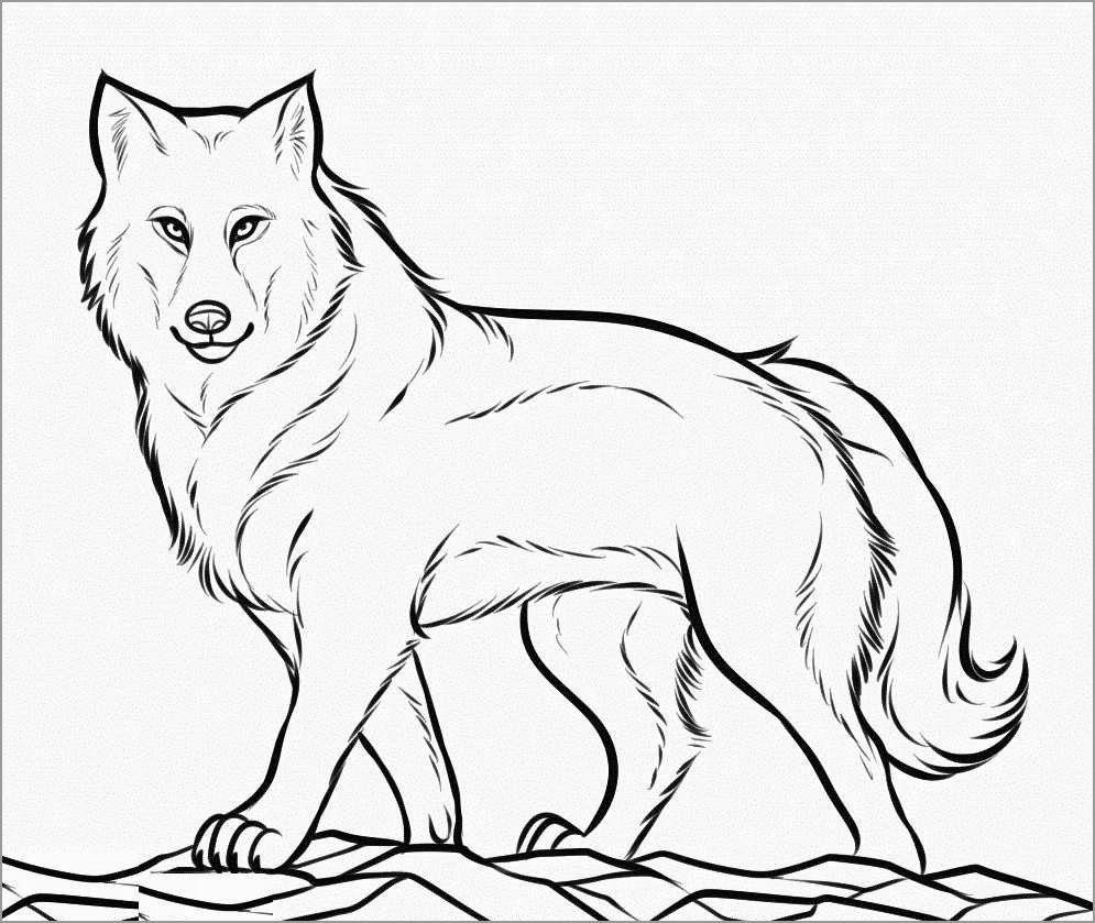 Wolves Coloring Pages