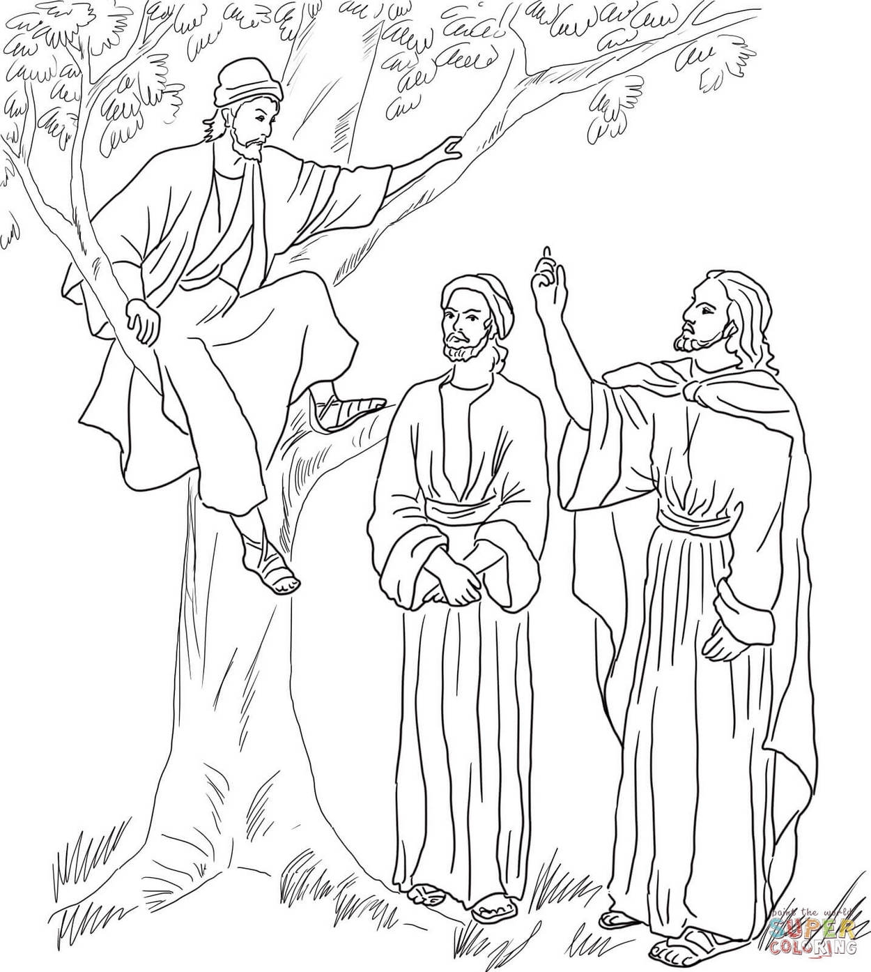 Zacchaeus Tree Coloring Page Printable