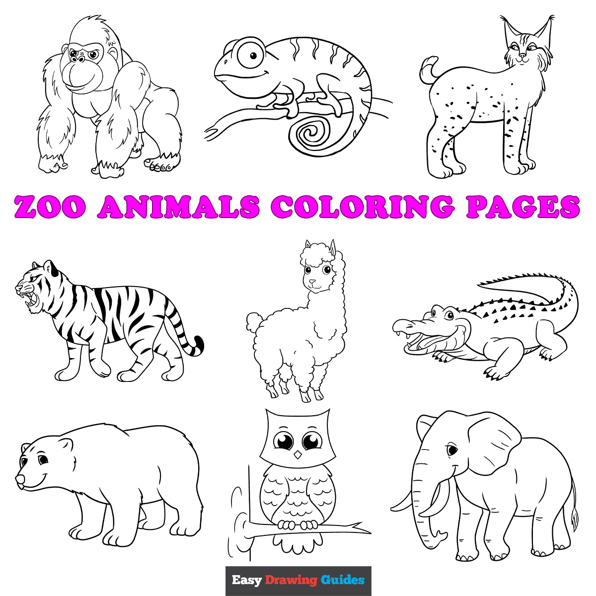 Animal Coloring Pages