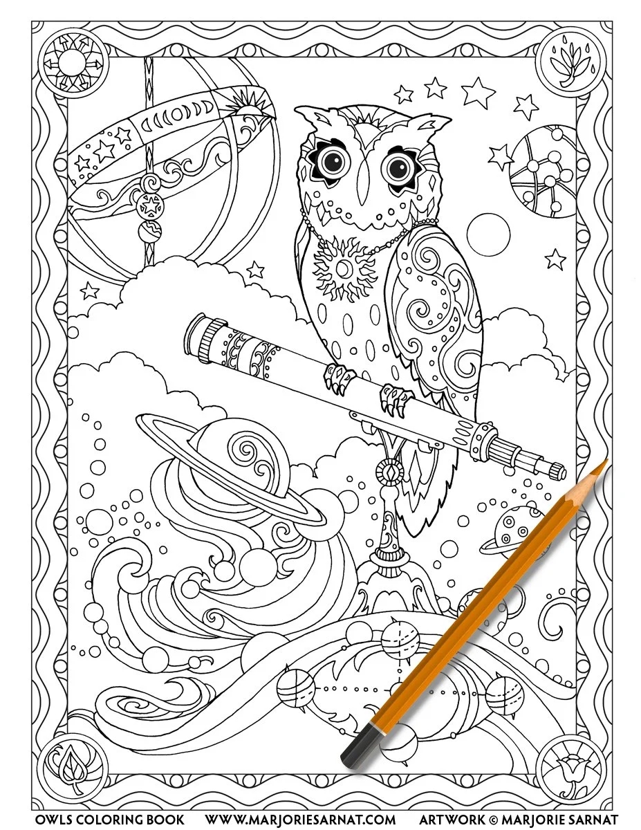 Owls Marjorie Sarnat Design Illustration