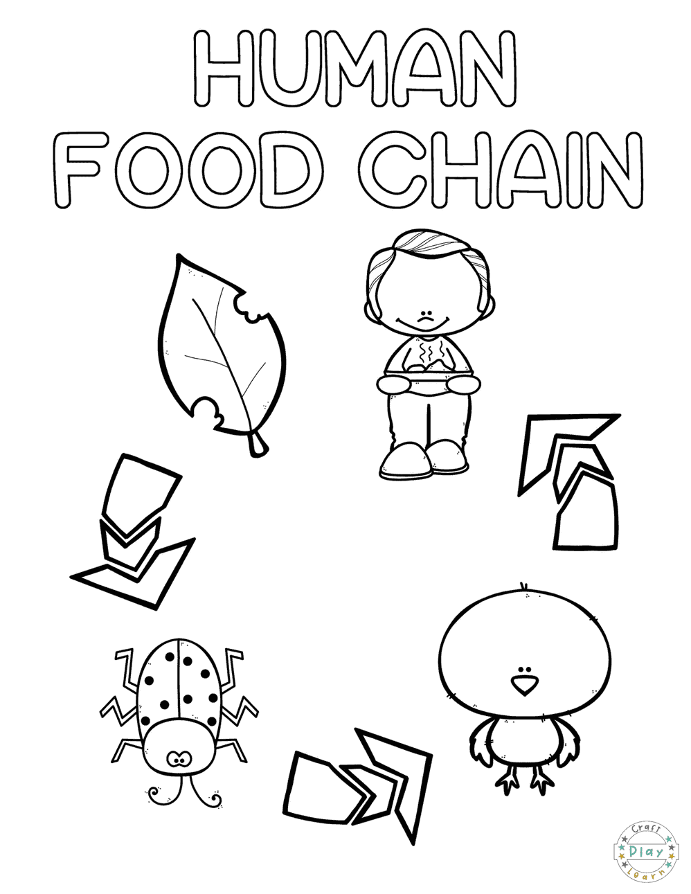 Preschool Coloring Pages Human Food Chain Craft Play Learn